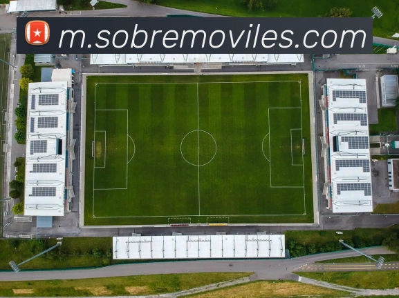 体育赛事直播